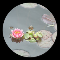 Water Lily Sticker stickers
