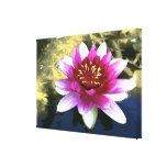 Water Lily canvas prints