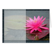 Water lily template cards