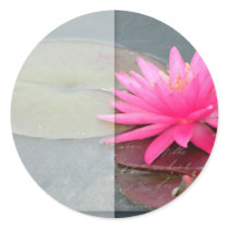 Water lily template stickers