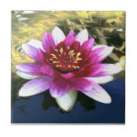 Water Lily tiles