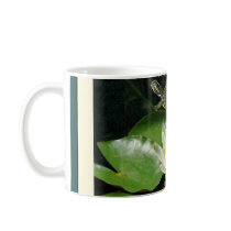 Water Lily & Turtle Mug