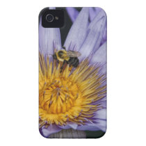 Water Lily With Bumble Bee close-up Case-mate Iphone 4 Case