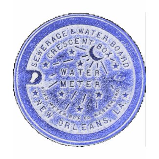 Water Meter Lid in Blue shirt