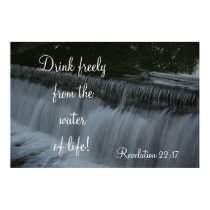 Water of Life posters