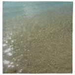 Water on the Beach Napkins