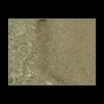 Water on the Beach Postcard