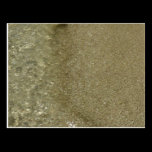 Water on the Beach Postcard