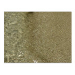 Water on the Beach Postcard