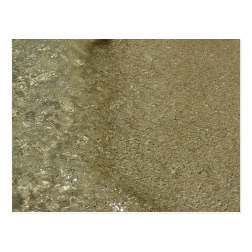 Water on the Beach Postcard