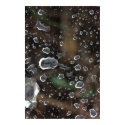 Water on Web Poster posters