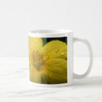 water on yellow mugs