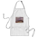 Water over Rocks aprons
