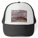Water over Rocks hats