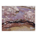 Water over Rocks posters