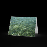 Water over Sea Grass Card