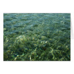 Water over Sea Grass Card