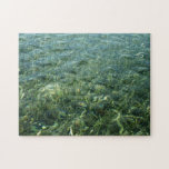 Water over Sea Grass I Blue and Green Nature Photo Puzzle