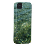 Water over Sea Grass iPhone 4 Case-mate Case