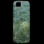 Water over Sea Grass iPhone 5 Case