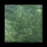 Water over Sea Grass Magnet