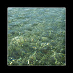 Water over Sea Grass Magnet