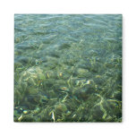 Water over Sea Grass Magnet