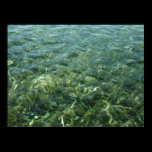 Water over Sea Grass Poster Print