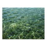 Water over Sea Grass Poster Print