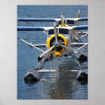 Water Plane Poster