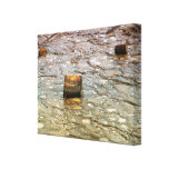 Water pollution canvas print