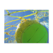 Water Polo Post Card