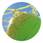 Water Polo stickers