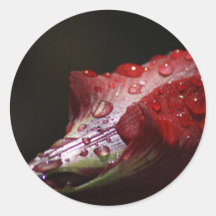 Water red flower stickers