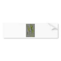 Water Reed Digital art Bumper Sticker