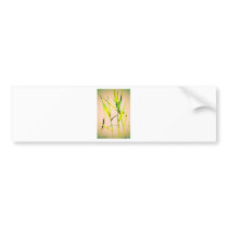 Water Reed Digital Art Bumper Sticker