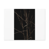 Water Reed Digital art Post Card