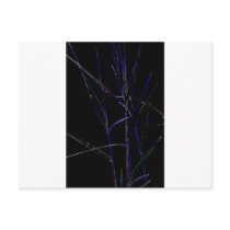 Water Reed Digital art Post Cards