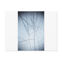 Water Reed Digital art Postcard