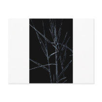Water Reed Digital art Postcard