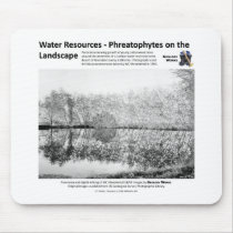 Water Resources I - Phreatophytes on the Landscape Mouse Pad
