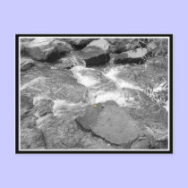 Water & Rocks postcards