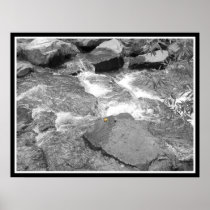 Water & Rocks Posters