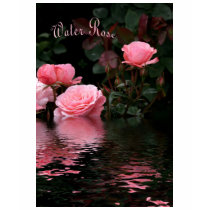 Water Rose T shirt by goldensydney Water Rose T shirt