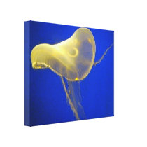 Water Ship 2 Wrapped Canvas Gallery Wrapped Canvas