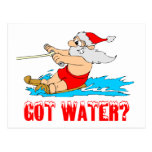 Water Ski Santa Post Card