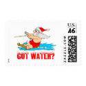 Water Ski Santa postage by TeeZazzle Water Ski Santa postage