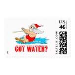 Water Ski Santa postage