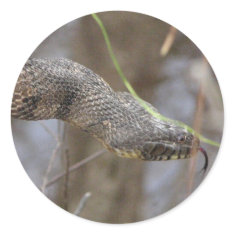Water Snake Sticker sticker