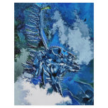 WATER SPIRIT flyers